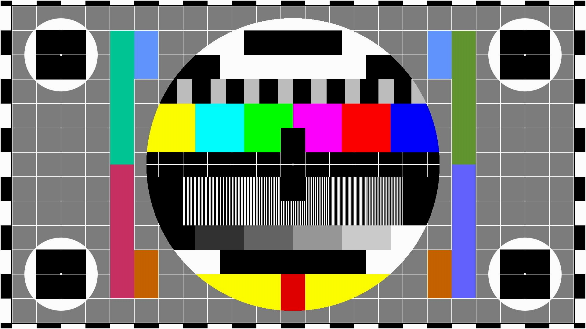 Grid 1 — color & geometry test pattern